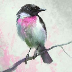 Obraz - Dotyk wiosny - Ptak, pastelowy - płótno