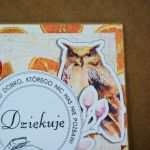Kartka - Dziękuję - szkoła ( 1 ) - Wykonana metodą scrapbookingu z profesjonalnych materiałów z motywem pomarańczy i pięknej sowy