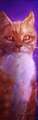 Obraz - Indygo kot - obraz z kotem - płótno