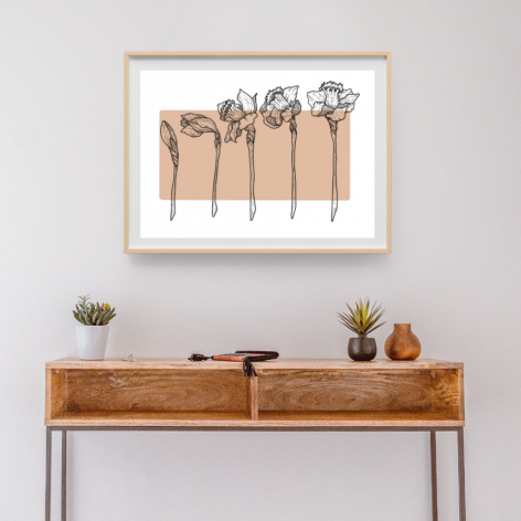 Plakat Daffodil 60x40cm