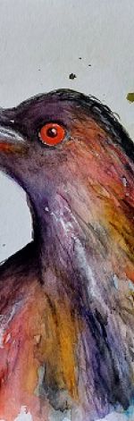 Kolorowy ptak-akwarela