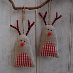 Rudolf  - Brzuchol kraciasty