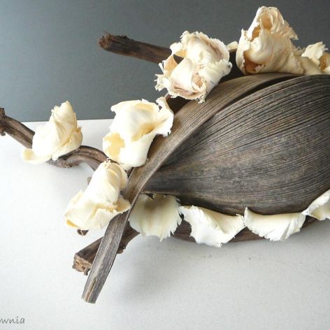 Kwiaty w pękniętej skorupie