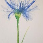 Kwiaty-dwie akwarele . - 