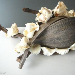 Kwiaty w pękniętej skorupie