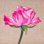 Różowa róża malarstwo płótno rama drewniana - Zbliżenie różowej róży