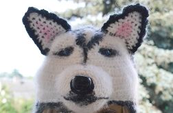 Czapka uszatka syberyjski husky 4 zamyślony