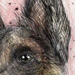 Pies Owczarek Niemiecki Digital painting - owczarek niemiecki rysunek graficzny