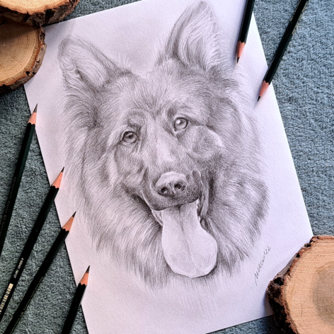 Portret zwierzaka wykonany ołówkami A4