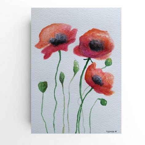 Maki 2-akwarela formatu A5..