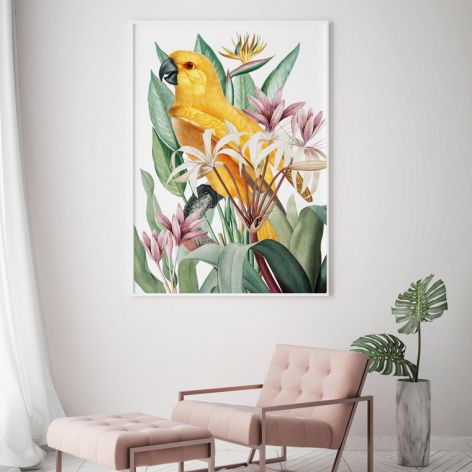 Plakat papuga w kwiatach 50x70 cm