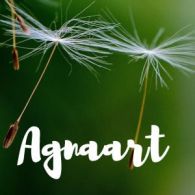 Agnaart Agnaart