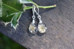 Zatopek łezka POLNE KWIATY