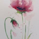 Maki 3-akwarela formatu 24/18 cm  - 