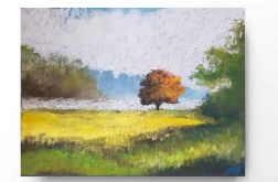Pejzaż 47-praca formatu 18/24 cm.