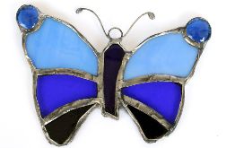 Motyl w niebieskościach