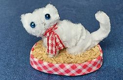 Biały kotek na korkowym podeście