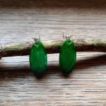 Kolczyki z żywicy epoksydowej -TAJEMNICZY LAS - Kolczyki z żywicy epoksydowej -TAJEMNICZY LAS