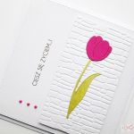 Kartka URODZINOWA z różowym tulipanem - Biało-różowa kartka na urodziny z tulipanem