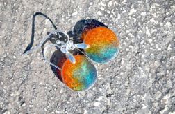 Zatopki lazurowo-pomarańczowe