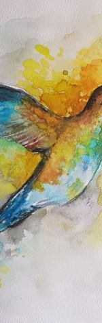 Koliber-akwarela A4