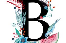 Alfabet B wydruk ilustracji