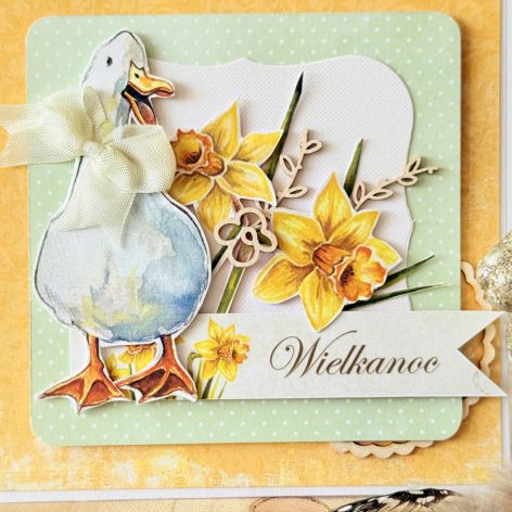 Z kaczuszką (vol.2)