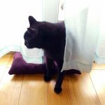Poduszka dla kota parapetnik 42x25 cm - poduszka parapetnik