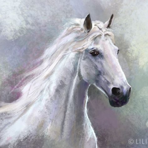 Obraz Biały koń - płótno