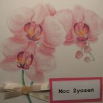 Kartka na różne okazje 01 - 