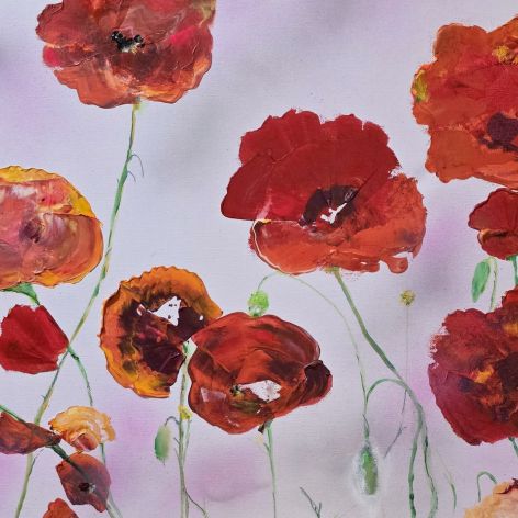 Maki polne na plotnie