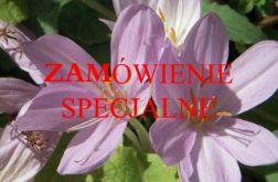 ZAMÓWIENIE SPECJALNE -pudełka na chusteczki