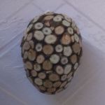 Jajko z plasterkami drewna - Ekologiczne jajko