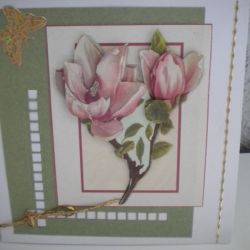 Kartka z magnolią
