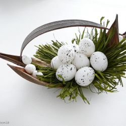 Ptasie gniazdo w łupinie