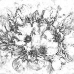 Obraz na płótnie czarno biały Grafika magnoli - null
