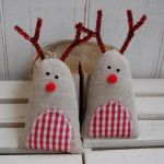 Rudolf  - Brzuchol kraciasty - 