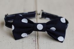 Muszka chłopięca - Granatowa w kropy