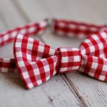 Muszka chłopięca  - 