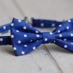 Mucha chłopięca  - 