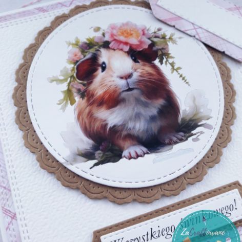 Kartka urodzinowa ze świnką morską