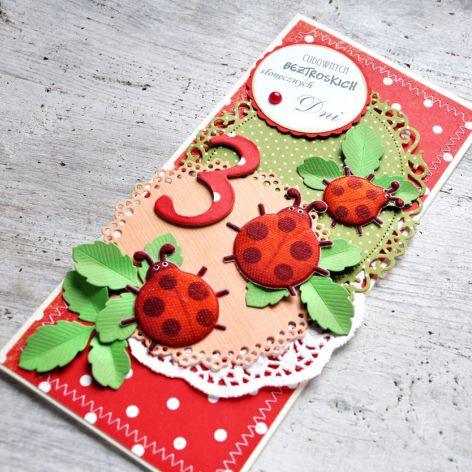 Biedronki na 3 Urodzinki