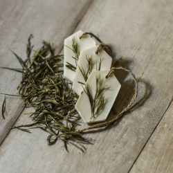 Zestaw tabliczek zapachowych do szafy o zapachu Bergamoty i Ylang-Ylang