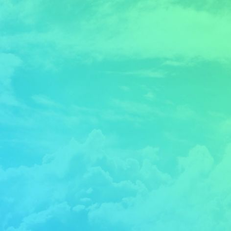 chusta_test 2