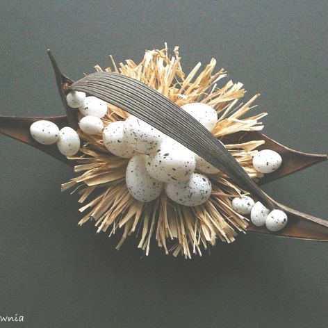 Ptasie gniazdo w łupinie - odsłona druga