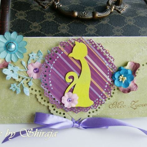 Kopertówka uniwersalna- kot w turkusach