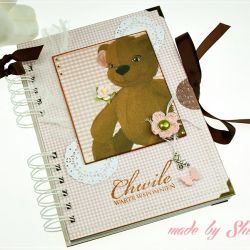 Pamiętnik ciążowy- zamówienie dla P. Rhodiana