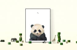Plakat "Panda"