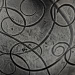 Spirale - metalowa bransoleta (140325-02) - Szeroka bransoletka
