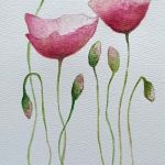 Maki 1-akwarela formatu A5. - 